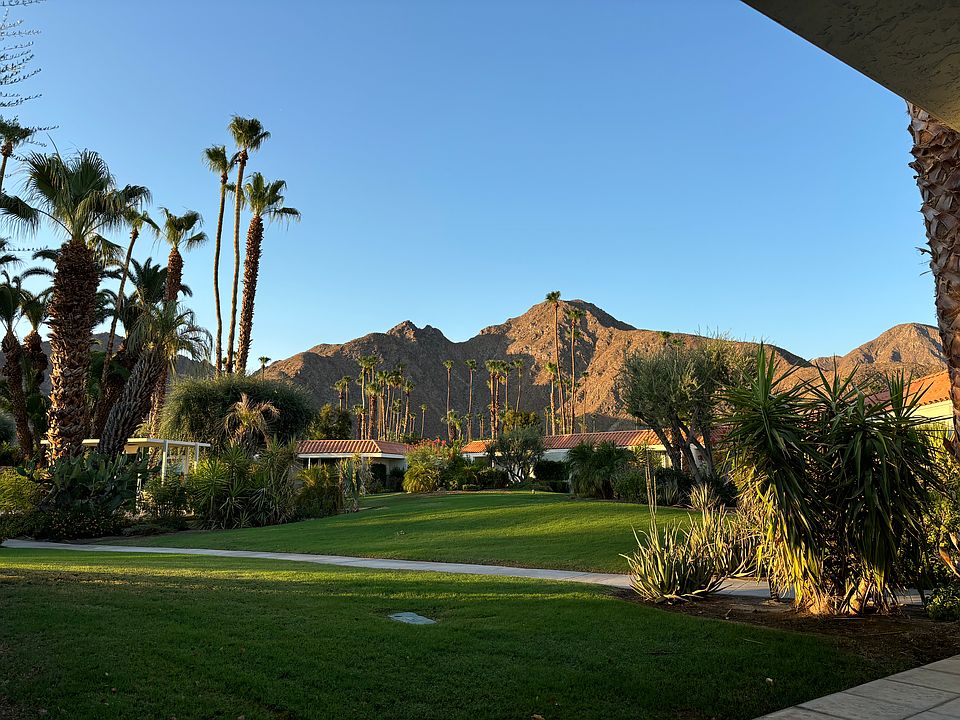 The View