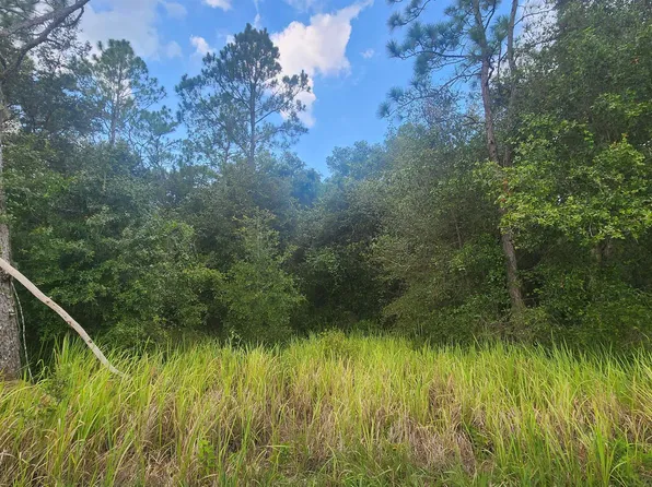 129 Lake View Dr, Pomona Park, FL 32181