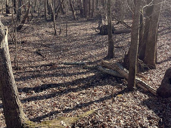 5th image of 0 E Greene County Rd #954