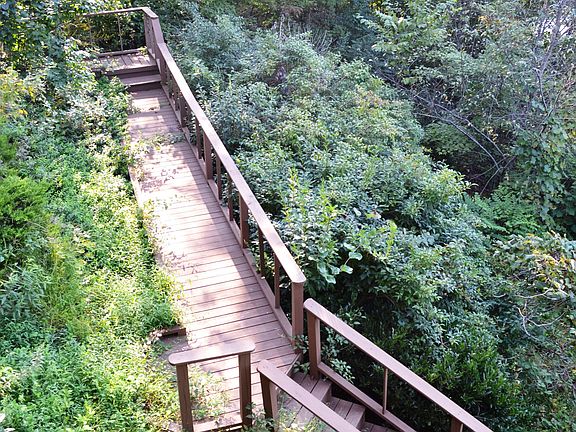 Steps to lower deck