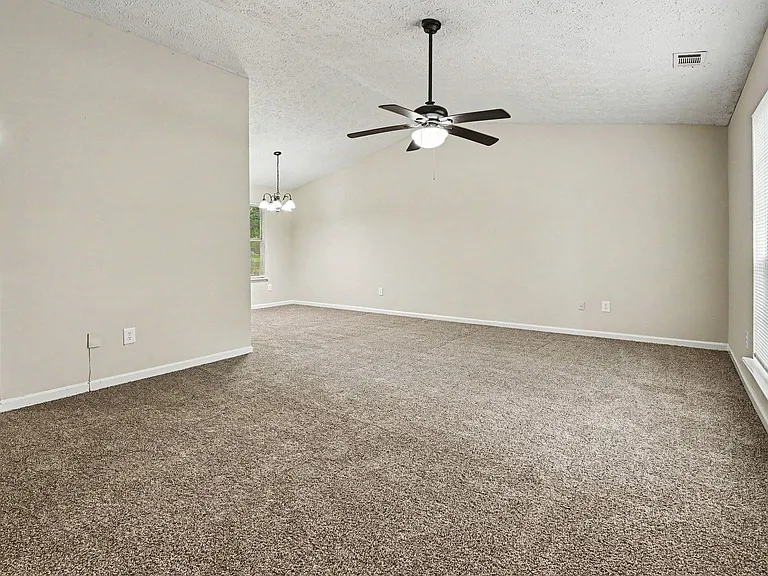 3892 Conley Downs Ln — Photo 5