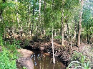 2 Bracewell Cemetery Rd, Livingston, TX 77351