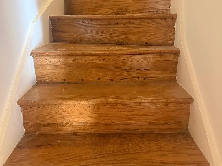 113 Montrose Ave — Photo 14