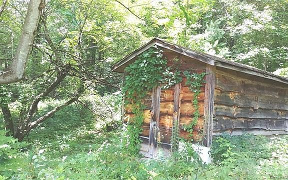 3rd image of 255 Sheepback Mountain Rd