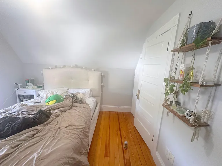 251 Arlington St #2 — Photo 17