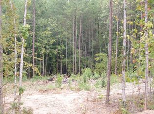 13675 Inman Rd, Hampton, GA 30228