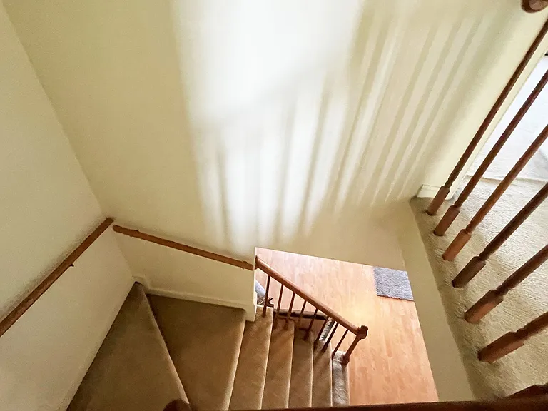 5282 Settlers Park Dr — Photo 13
