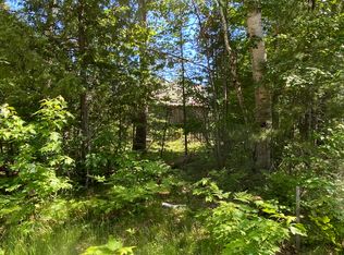 30965 W Wild Cat Rd, Paradise, MI 49768