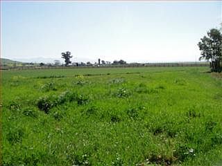 4th image of 3390 Pacheco Pass Hwy