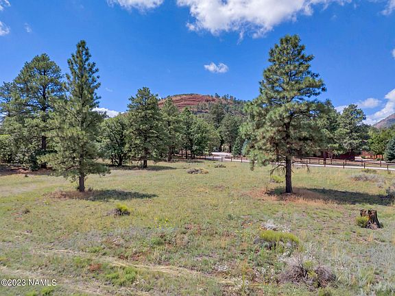 5th image of 7021 Oakwood Pines Dr