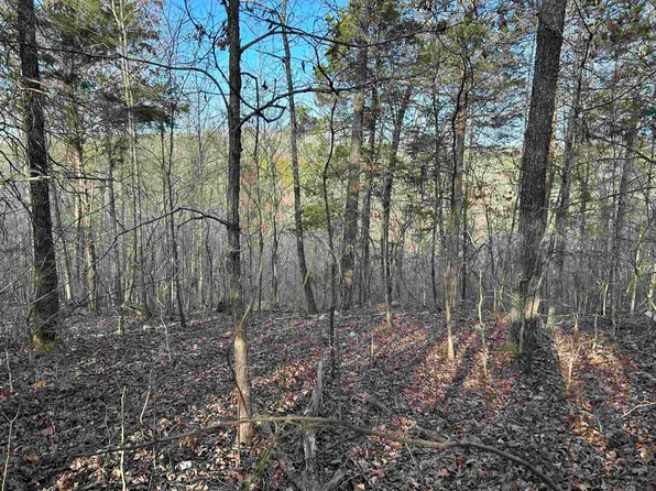 0 County Road 145, Alton, MO 65606