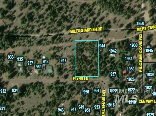 Flynn Ln, McCall, ID 83638