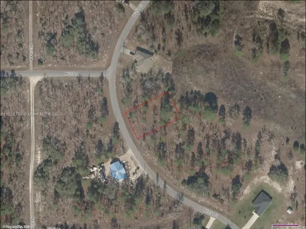 46 NE 152nd Ave, Williston, FL 32696