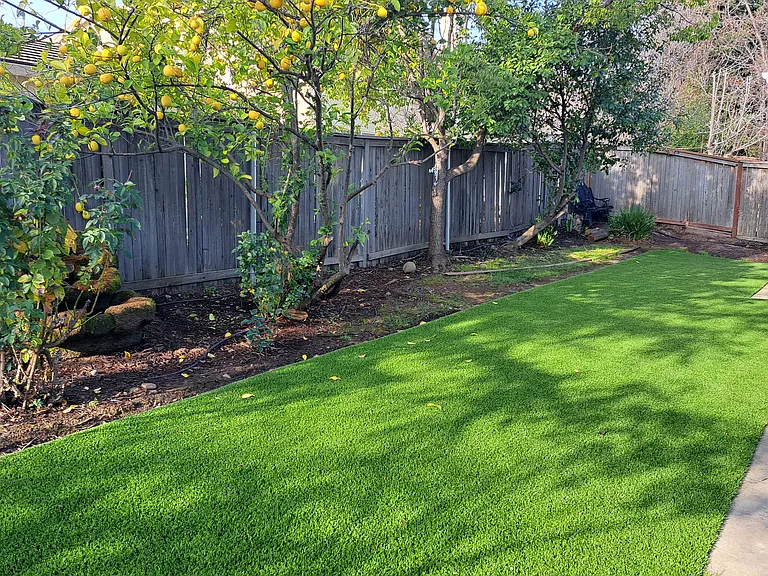 Front and backyard artificial turf
