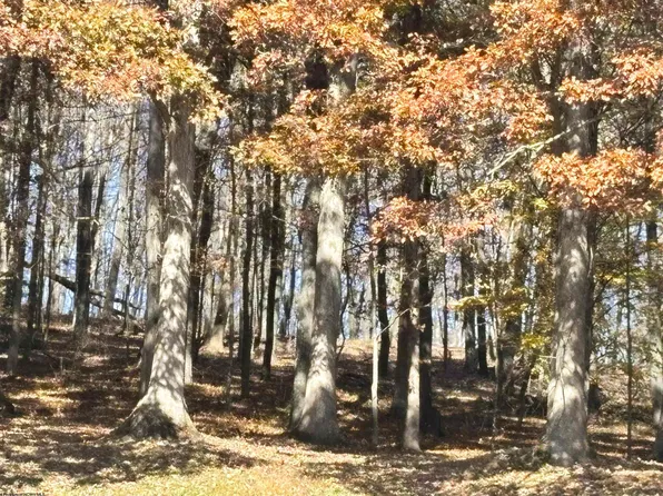 Merrill St, Belington, WV 26250
