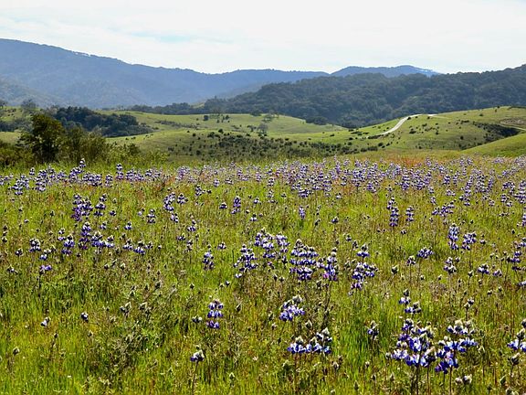 3rd image of 1 Penon Peak Trl Lot 217
