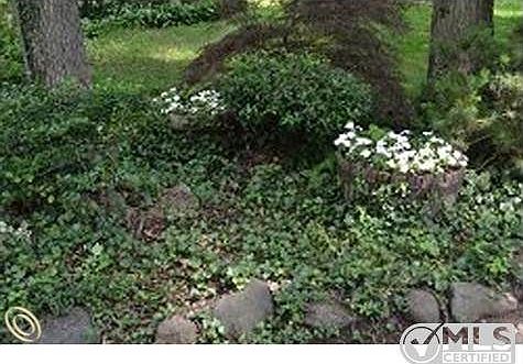 Gorgeous Landscaping.JPG