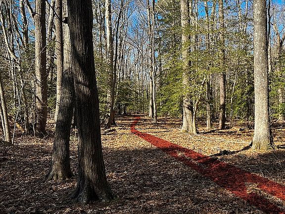3rd image of LOT 1 Sawmill Cove Dr