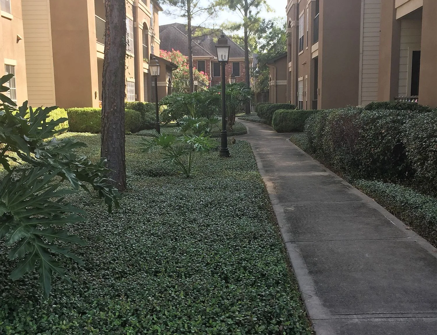 The Boulevard — Photo 4