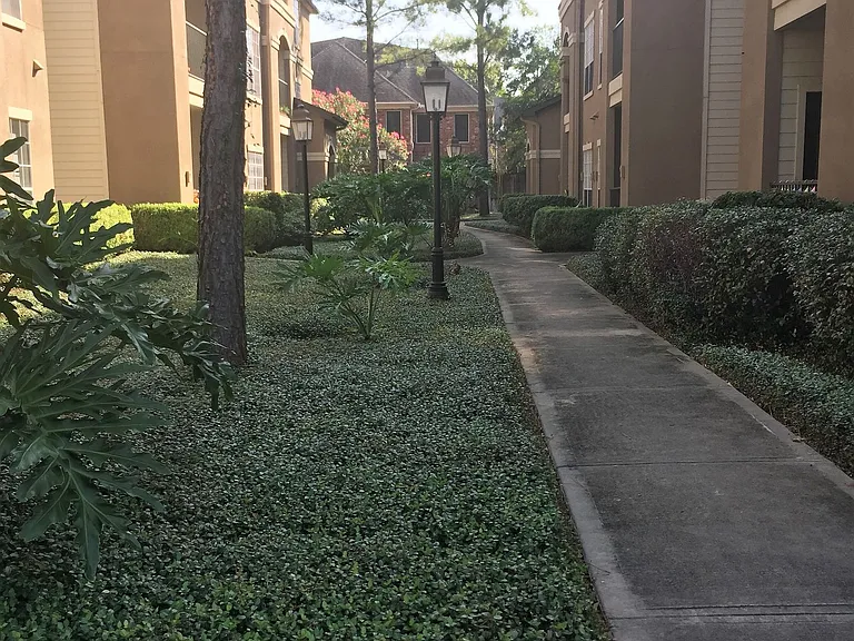 The Boulevard — Photo 4