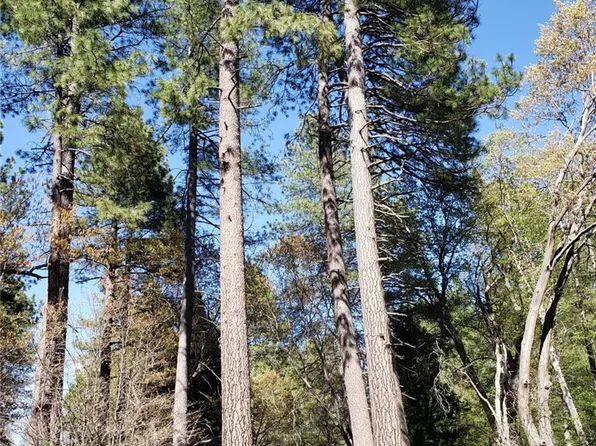 29531 Little Bear Creek Rd, Cedar Glen, CA 92321