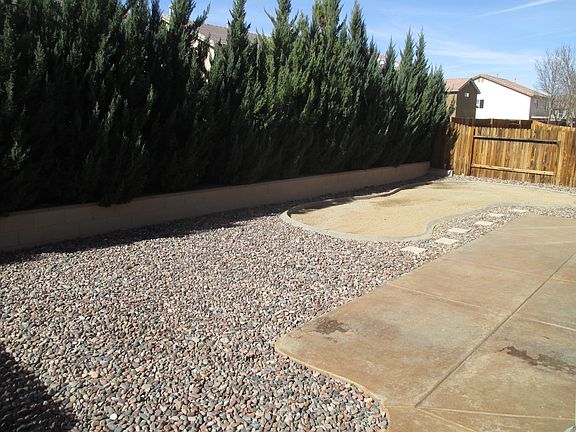 Privacy Shrubs