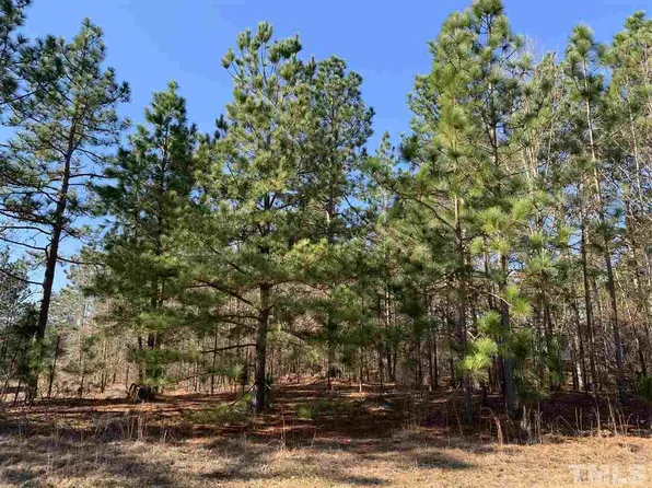66 Pat Way Ln, Lillington, NC 27546
