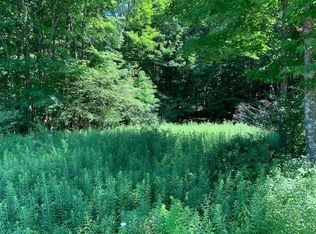 Horton Brook Rd, Roscoe, NY 12776