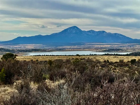 25515 X Road, Dolores, CO 81323