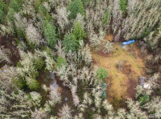 31911 116th Ave E, Graham, WA 98338