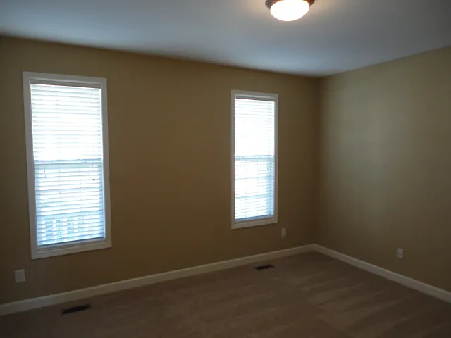 113 Bally Shannon Way — Photo 9