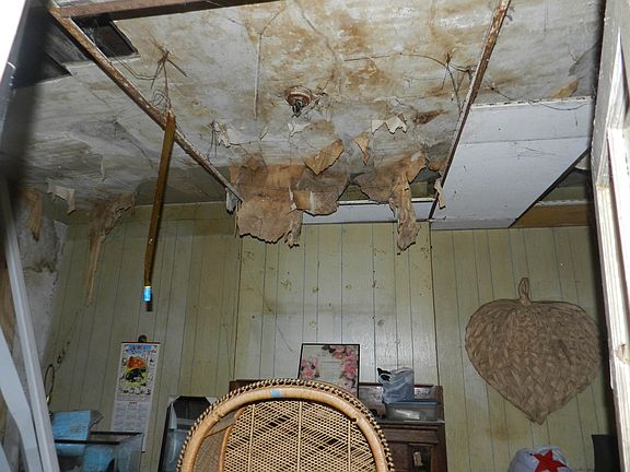 4th image of 4249 Viola St