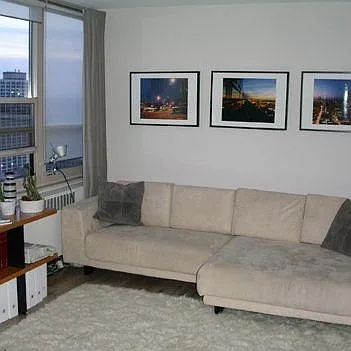 3950 N Lake Shore Dr #2321 — Photo 3