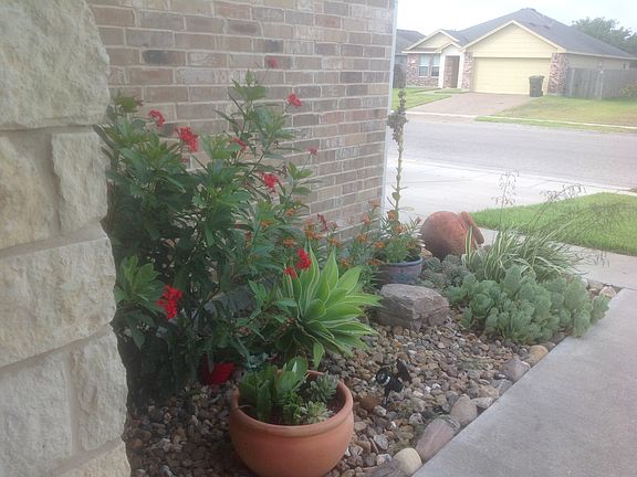4th image of 6130 Queen Bess Dr