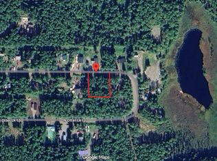 24884 N Otter Lake Loop, Willow, AK 99688