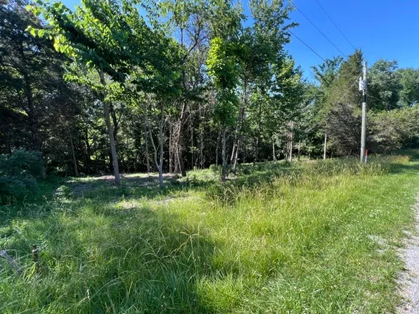 0 Lakeshore Dr S, Goreville, IL 62939