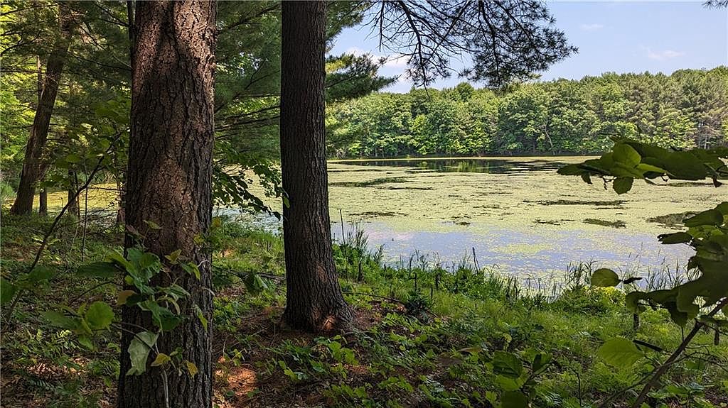 Lot 1 165th Ave, Bloomer, WI 54724 MLS 1574309 Zillow