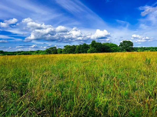 3 M/L Acres Corner Of Hammer/Holly Road, Neosho, MO 64850