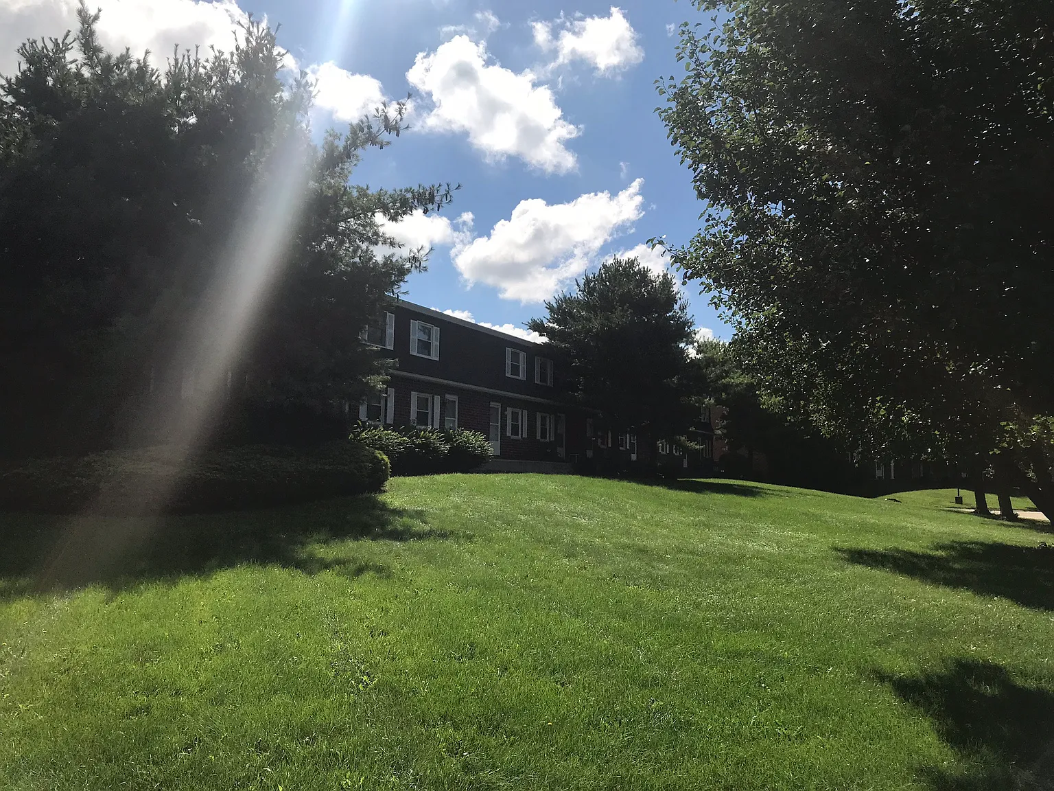 2 bed, 900 sqft, $995 — Photo 3