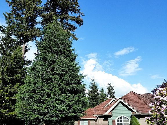 3rd image of 8650 Great Horned Owl Ln