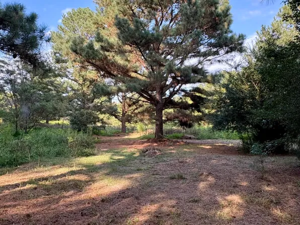1574 Major Hill Rd Lot 2, Snow Camp, NC 27349
