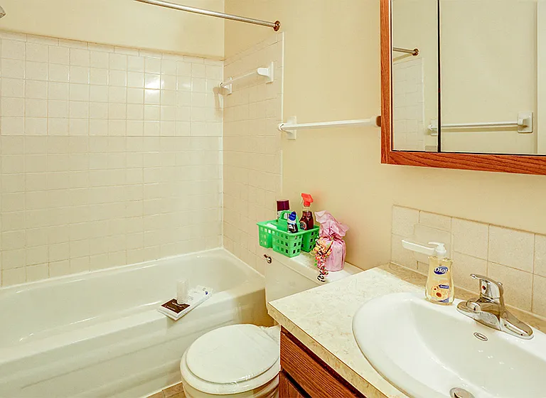 Apartment Bathroom at Williamsburg on the Lake