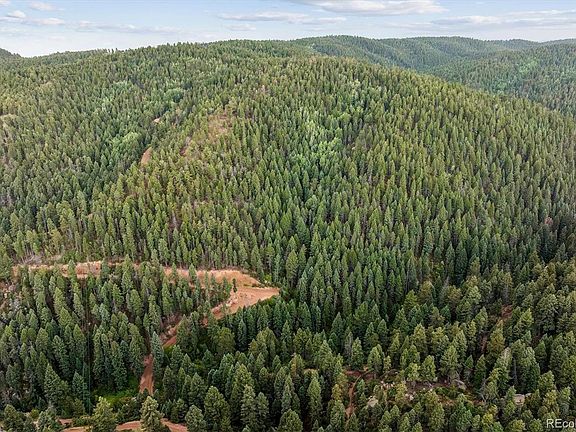 3rd image of Forest Lane