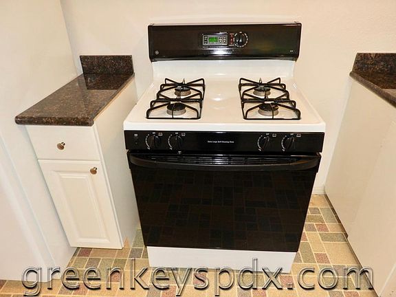 4-burner gas range