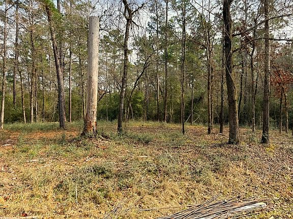 4th image of 195 Walnut Cir