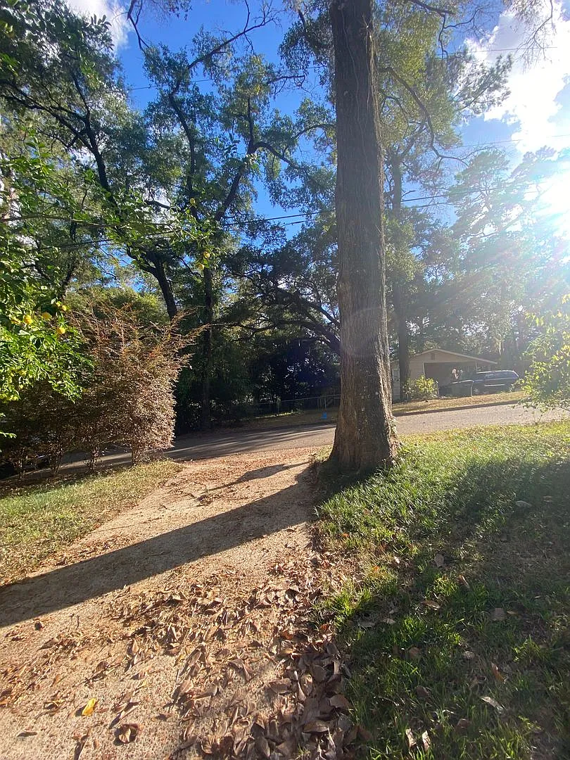 Available Now 3 Bedroom 2 Bath Single Story — Photo 3