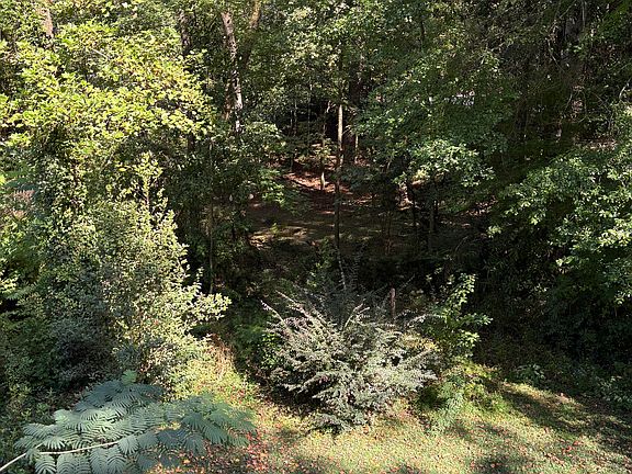 View of Yard from Deck