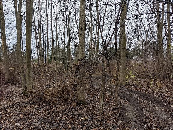 5th image of 0 Obrien Rd