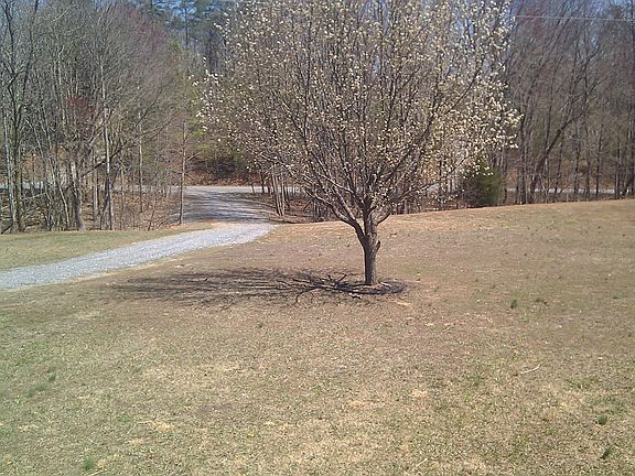 2nd image of 761 Knoll Woods Dr