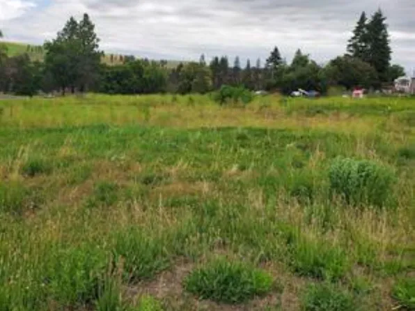 125 SW Ash St, Malden, WA 99149